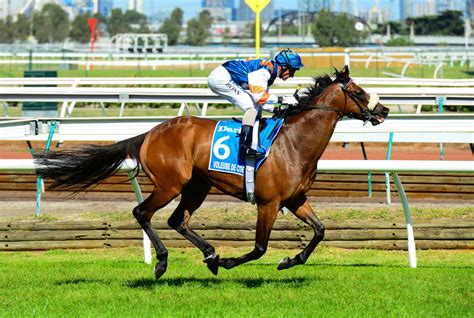 myer classic betting|Empire Rose Stakes 2023 Field, Odds .